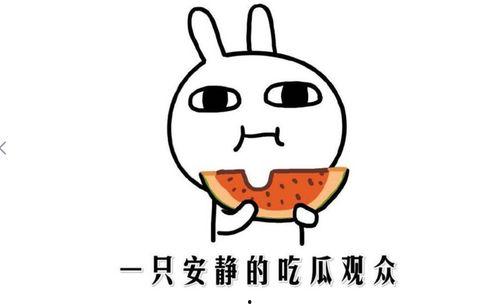 吃瓜黑料视频在线观看快手版下载,快手版视频在线观看与下载攻略