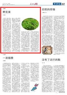 人民日报ccgg今日吃瓜黑料,ccgg今日吃瓜黑料，揭秘娱乐圈幕后真相